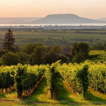 Prázdninový dům In 36287